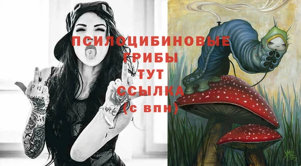 дживик Нефтегорск